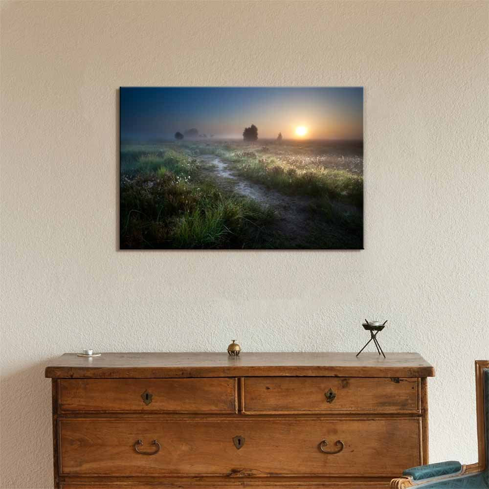 Beautiful Scenery Landscape Misty Sunrise Over Countryside Path Through Swamps Fochteloerveen Drenthe Netherlands Nature Beauty